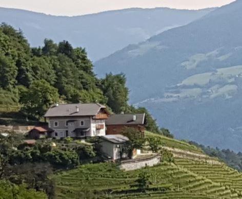 Maso Fallmerayer - Fallmerayerhof Bressanone Dış mekan fotoğraf