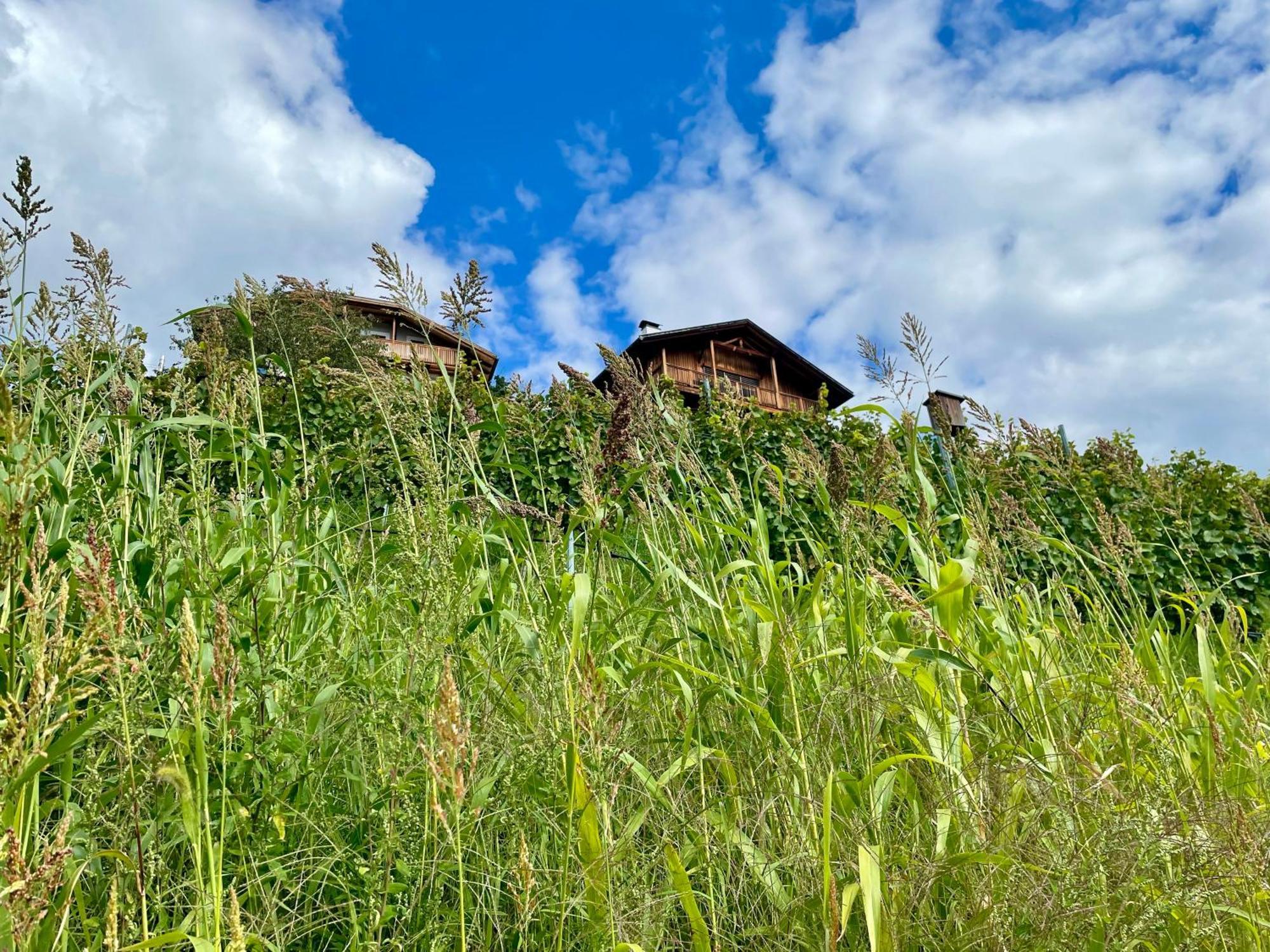 Maso Fallmerayer - Fallmerayerhof Bressanone Dış mekan fotoğraf